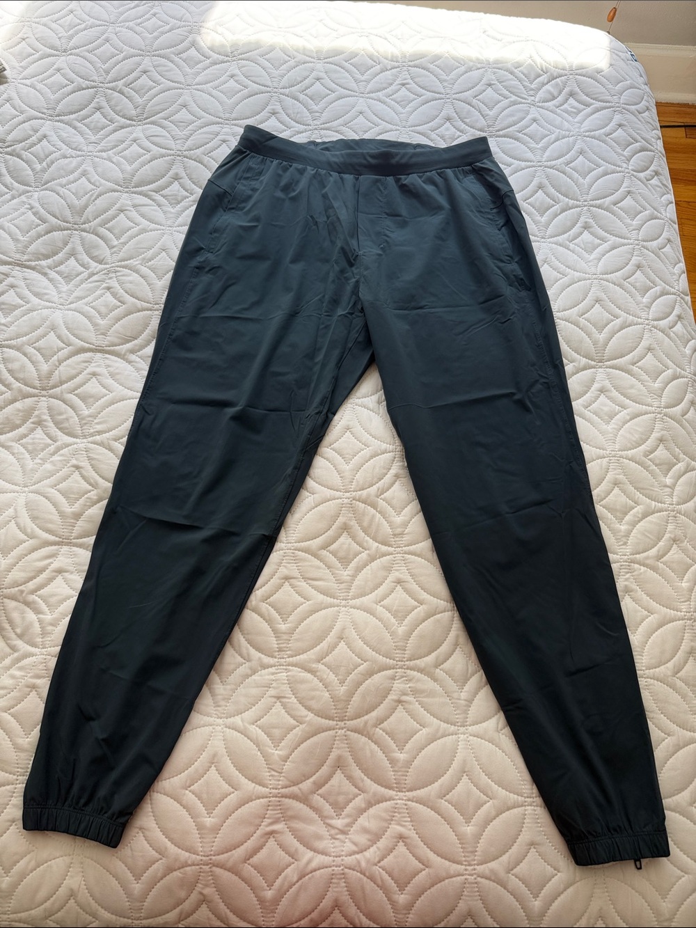 lululemon Surge Jogger Ankle Zip Pants